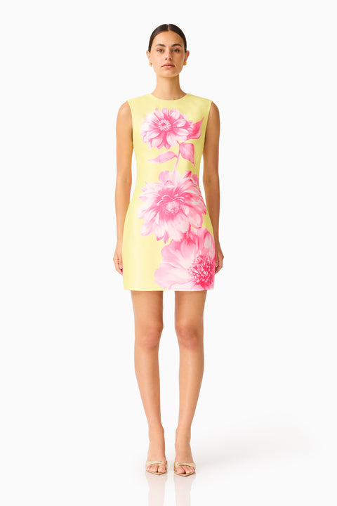 Elliatt - Sybella Shift Mini Dress