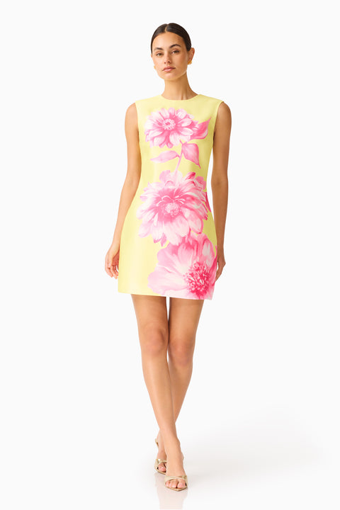 Elliatt - Sybella Shift Mini Dress