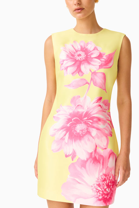 Elliatt - Sybella Shift Mini Dress