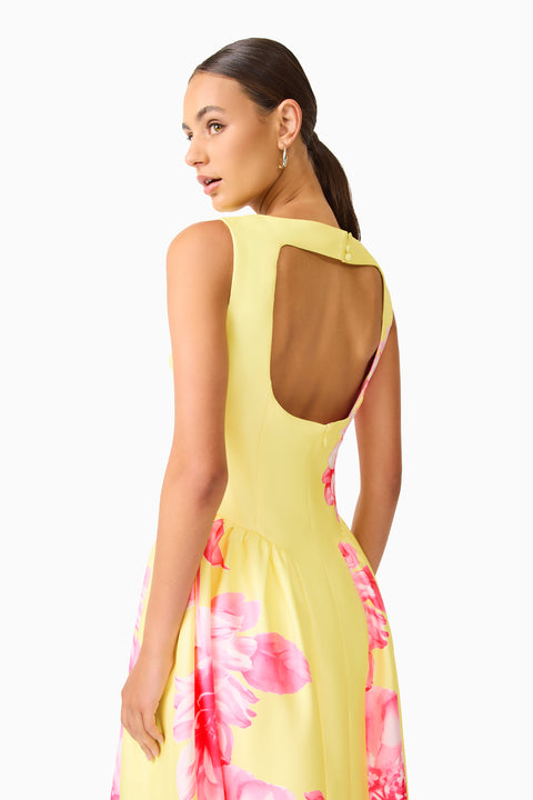 Elliatt - Sybella Midi Dress