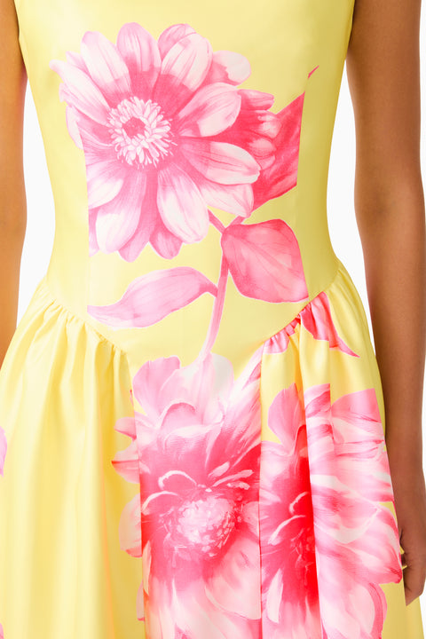 Elliatt - Sybella Midi Dress