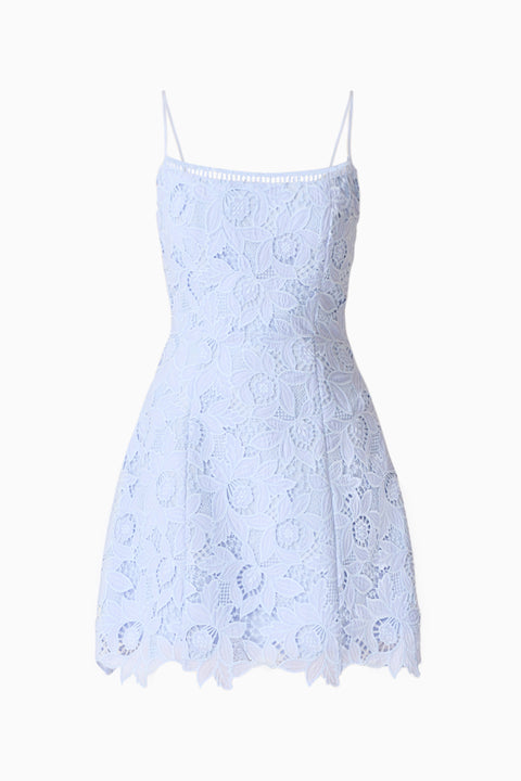 Elliatt - Lucy Tullip Mini Dress