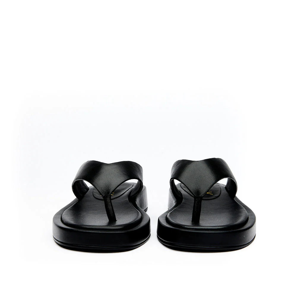 Dignified Black Slide