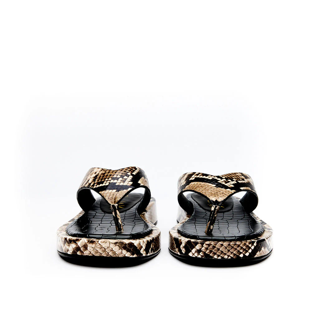 Dignified Snake